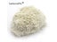 Random Mix 900pcs 1mm Double Heads Mini Pearl Flower Stamen Pistil For DIY Carousel 10