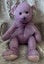 Razzles Russ bear Carousel 1