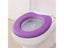Toilet Seat Cover Carousel 6