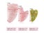 Natural Jade Gua Sha Scraper Board Massage Rose Quartz Jade Guasha Stone For Carousel 7