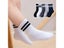 Girls Socks Children Kids Socks Carousel 3
