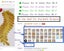 Iron On 3D Flower Patches Party Decoration Gold Embroidery Vintage Metallic Carousel 4