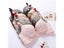 Women Flower Print Seamless Bra Sexy Lingerie Floral Push Up Bras One-Piece Carousel 3