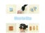DIY Mosaic Cutters For Glass/Mosaic Stones/Ceramics Plier Nippers 4 Kinds Carousel 5