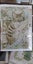 Any1 of 4 cat 11ct ( inked) Carousel 3