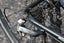 Specialized Sirrus (small) serviced roadbike GLENFIELD Carousel 10