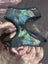DOG HARNESS size M Carousel 1