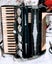 Piano Accordion Carousel 5
