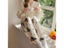 Kawaii Cartoon Pajamas Pants Y2K Anime Coral Velvet Warm Soft Trousers Cute Carousel 8