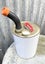 5L metal can for petrol with plastic nose $1 Reserve Carousel 4