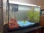 70L Fish tank - complete set up Carousel 1