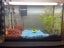 70L Fish tank - complete set up Carousel 3