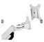 Dual Desktop Monitor Mount 17”-32” Carousel 4