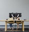Dual Desktop Monitor Mount 17”-32” Carousel 3