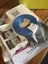 Heat Transfer System Kit Carousel 4