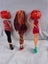 Monster high dolls Carousel 2