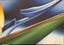 Bird of Paradise Painting by Ibanez Syah Carousel 3