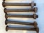 12 Coach Bolts & Nuts Carousel 3