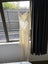 Maxi Dress Carousel 4
