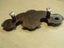 Retro Drawer Handles Carousel 3