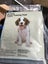 Items for whelping and newborn puppy care Carousel 5