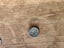 Post Medieval 'Thames' Lead Token Carousel 2