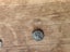 Post Medieval 'Thames' Lead Token Carousel 1