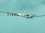 TIFFANY & CO Sterling Silver Atlas Medallion Pendant Necklace Carousel 3