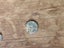 Post Medieval 'Thames' Lead Token Carousel 2
