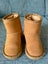 Seed kids biege slippers XS Carousel 1