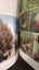 New Zealand's Native Trees John Dawson and Rob Lucas Carousel 13