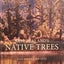 New Zealand's Native Trees John Dawson and Rob Lucas Carousel 1