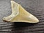 Megalodon Fossil Shark Tooth - 94.9mm / 3.7" Carousel 3