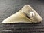 Megalodon Fossil Shark Tooth - 94.9mm / 3.7" Carousel 6
