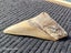 Megalodon Fossil Shark Tooth - 107.8mm / 4.2" Carousel 6