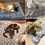 Soft Coral Fleece Warm Winter Dog Bed Pet Mat Pet Beds HOD Health & Home Carousel 6