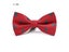 New Christmas Kids Bow Tie Snowflake Tree Pattern Red Blue 9cm*4.5cm Gift Carousel 6