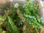 Plastic plants rock formations for aquarium s assorted Carousel 7