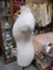Vintage Female Bust - Dress Makers Chil Daw - SH 169 Carousel 2
