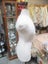 Vintage Female Bust - Dress Makers Chil Daw - SH 169 Carousel 4
