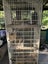 Two chinchillas looking for new home Carousel 5