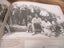 A PICTURE BOOK OF OLD WAIKATO Carousel 1