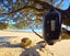gallery view thumbnail
