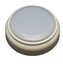 Pet Recordable buttons - Set of 4 Carousel 3