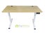 FlexiGO Electric Standing Desk 140cm Carousel 1