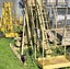 Loading Image 1 of 7