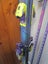 FISCHER skis 178cm end to end Mt2Kevlar Carousel 4