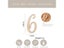 20pcs/set Natural Wooden Baby Milestone Card Numbers Reversible Photo Props Carousel 5