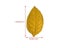 Newborn Baby Room Decor Soft Crawling Play Mat In Leaf Shape Carousel 8