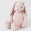 Jiggle & Giggle Pink Bunny Extra Large Carousel 1